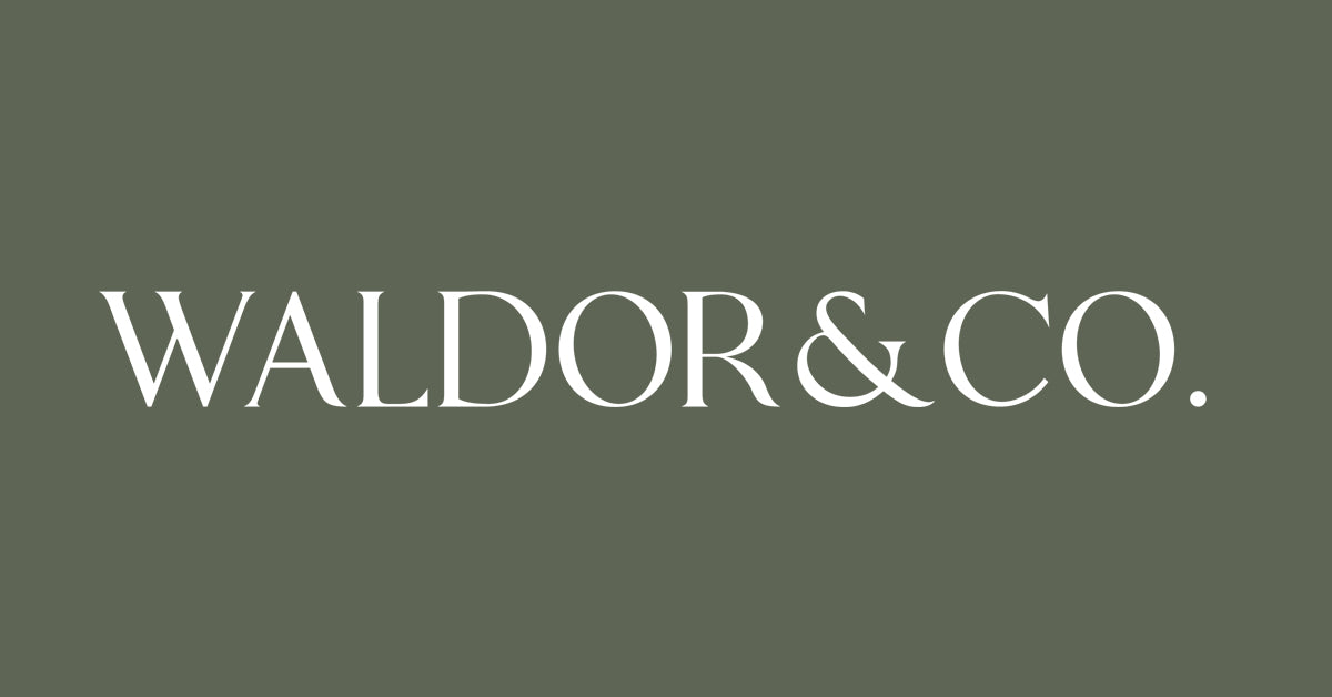 Women’s Watches from WALDOR & CO. | Free Shipping Worldwide